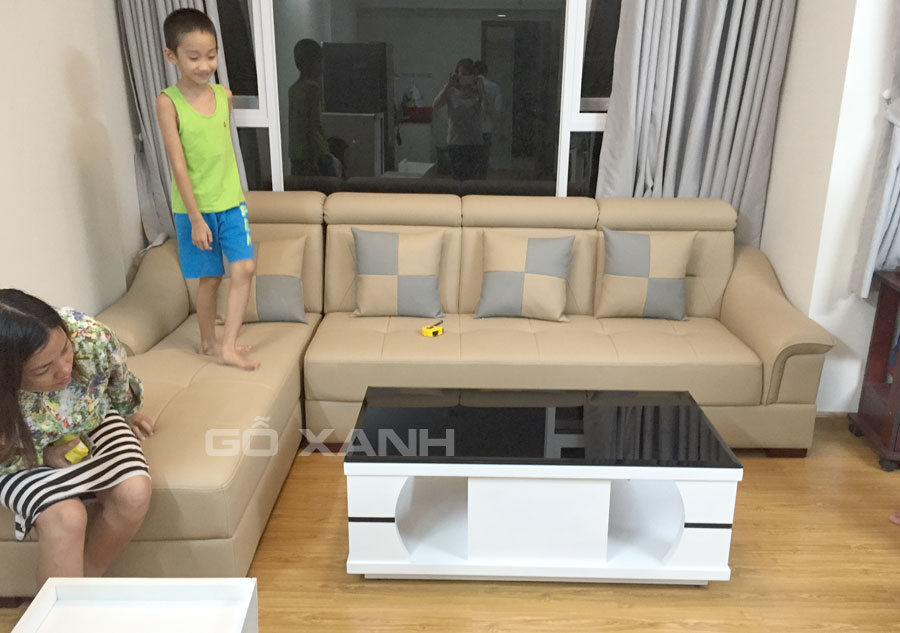 Bộ bàn ghế sofa chung cư, so pha chung cư cao cấp 2