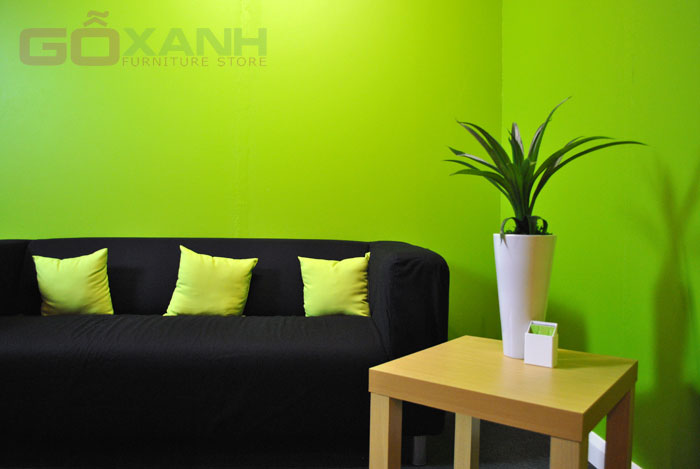 Cây cảnh giúp phòng khách đi vào thiên nhiên