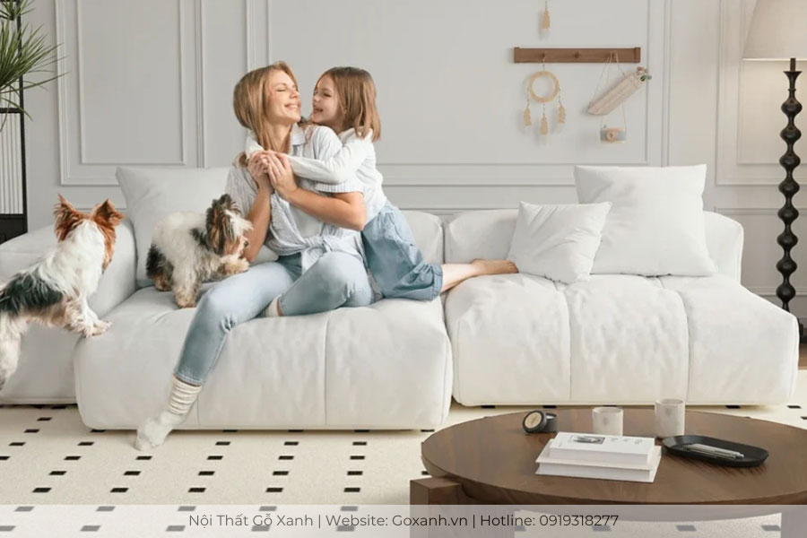 Mua sofa cần lưu ý gì 